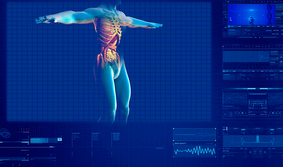 Cinco dados extraordinários sobre o corpo humano