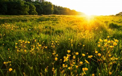 Equinócio da primavera: tudo o que precisas de saber