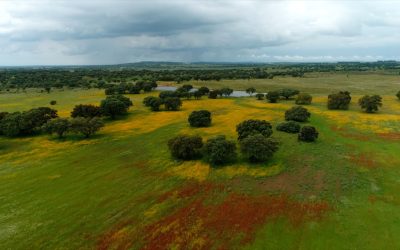 Europa luta pela redução dos resíduos para um futuro mais verde