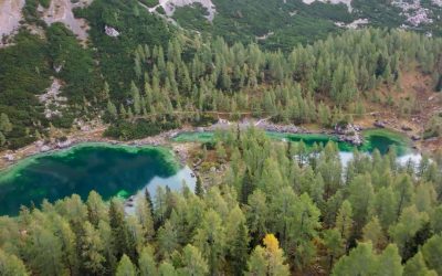 ODISSEIA na linha da frente do Projeto Re-Store Portugal com a WWF