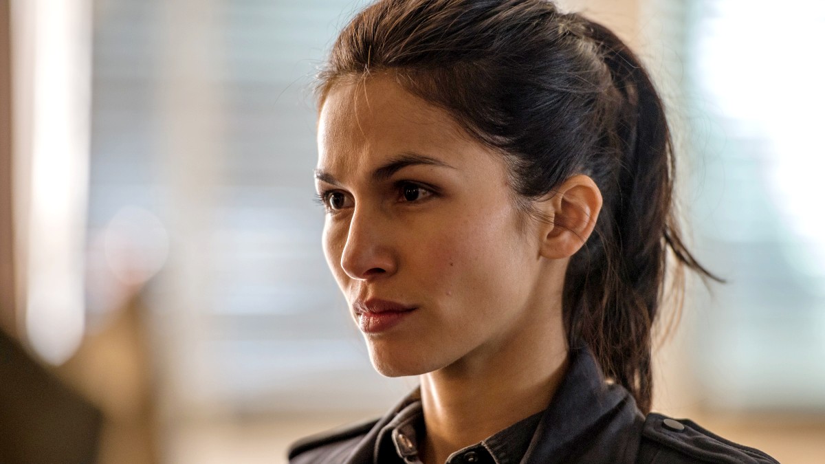 O Guarda-Costas e o Assassino no AMC Hits