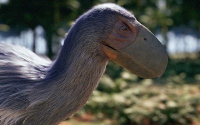 Os animais pré-históricos ganham nova vida no ODISSEIA